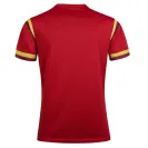 Maillot WRU Wales 2017 domicile homme avec imprimé écailles de dragon