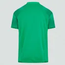 Ireland Rugby Jersey 2022-23 | Men's Vapodri Pro Shirt by Canterbury