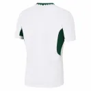 Maillot Extérieur 2025 Homme Springboks Afrique du Sud